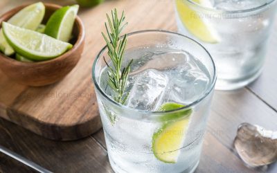 What Has Fewer Calories Gin Or Vodka?